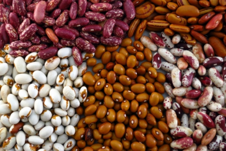 All About the Beans City Market